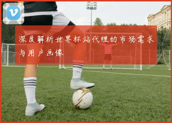 深度解析世界杯站代理的市场需求与用户画像