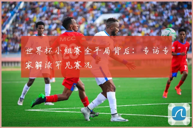 世界杯小组赛全平局背后:专访专家解读罕见赛况