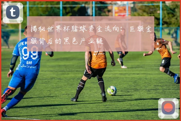 揭秘世界杯赌球资金流向：巨额金额背后的黑色产业链