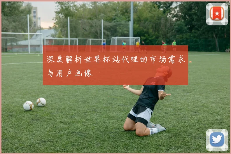 深度解析世界杯站代理的市场需求与用户画像