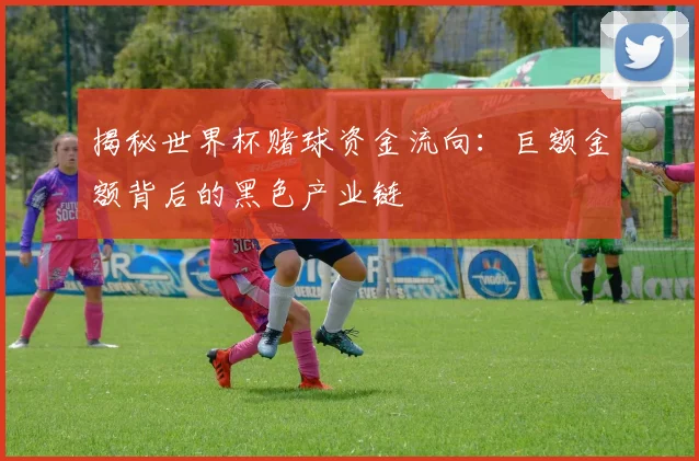 揭秘世界杯赌球资金流向:巨额金额背后的黑色产业链