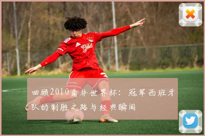 回顾2010南非世界杯：冠军西班牙队的制胜之路与经典瞬间